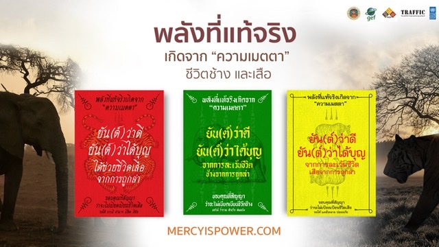 แคมเปญ ‘Mercy is Power – พลังที่แท้จริงเกิดจากความเมตตาชีวิตช้างและเสือ’